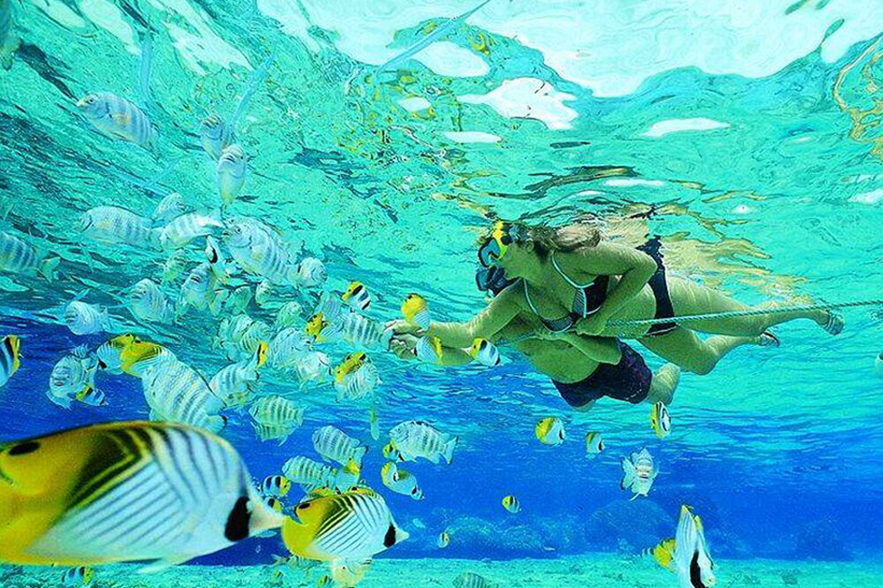 Best Snorkelling Tours in Bali