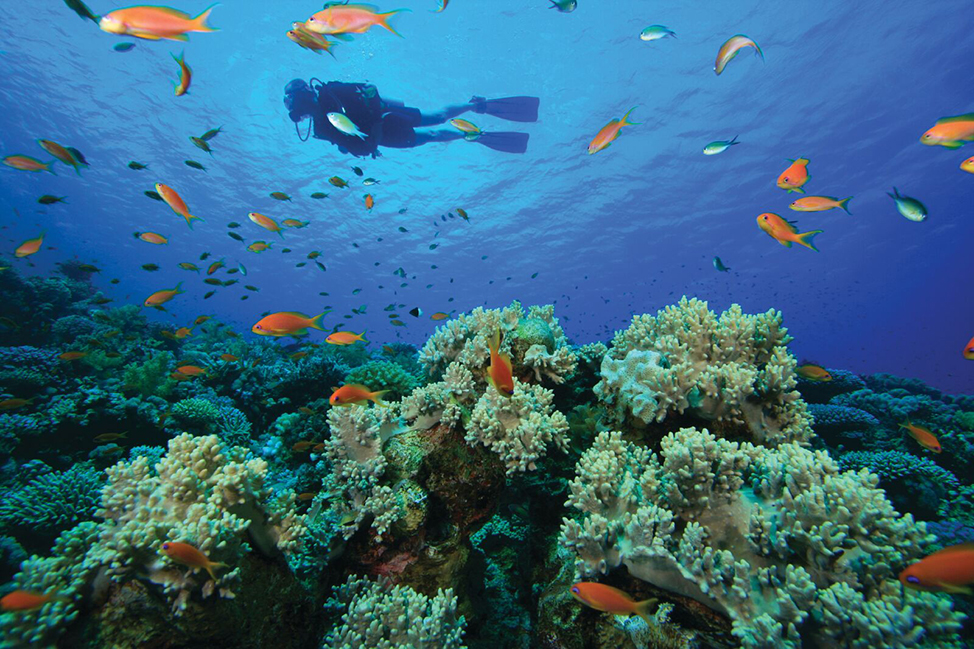 Scuba Diving in Bali