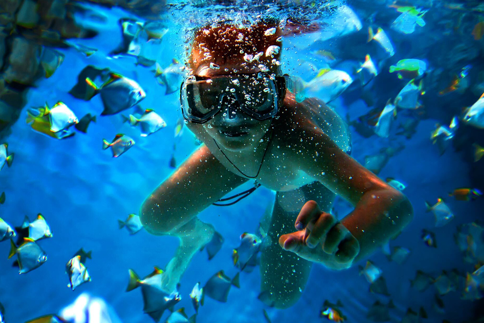 Snorkelling Trips in Bali Indonesia