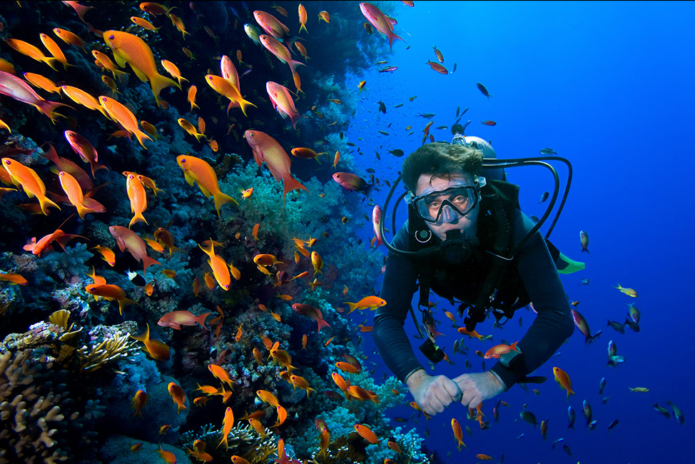 Image description: Scubadiving person