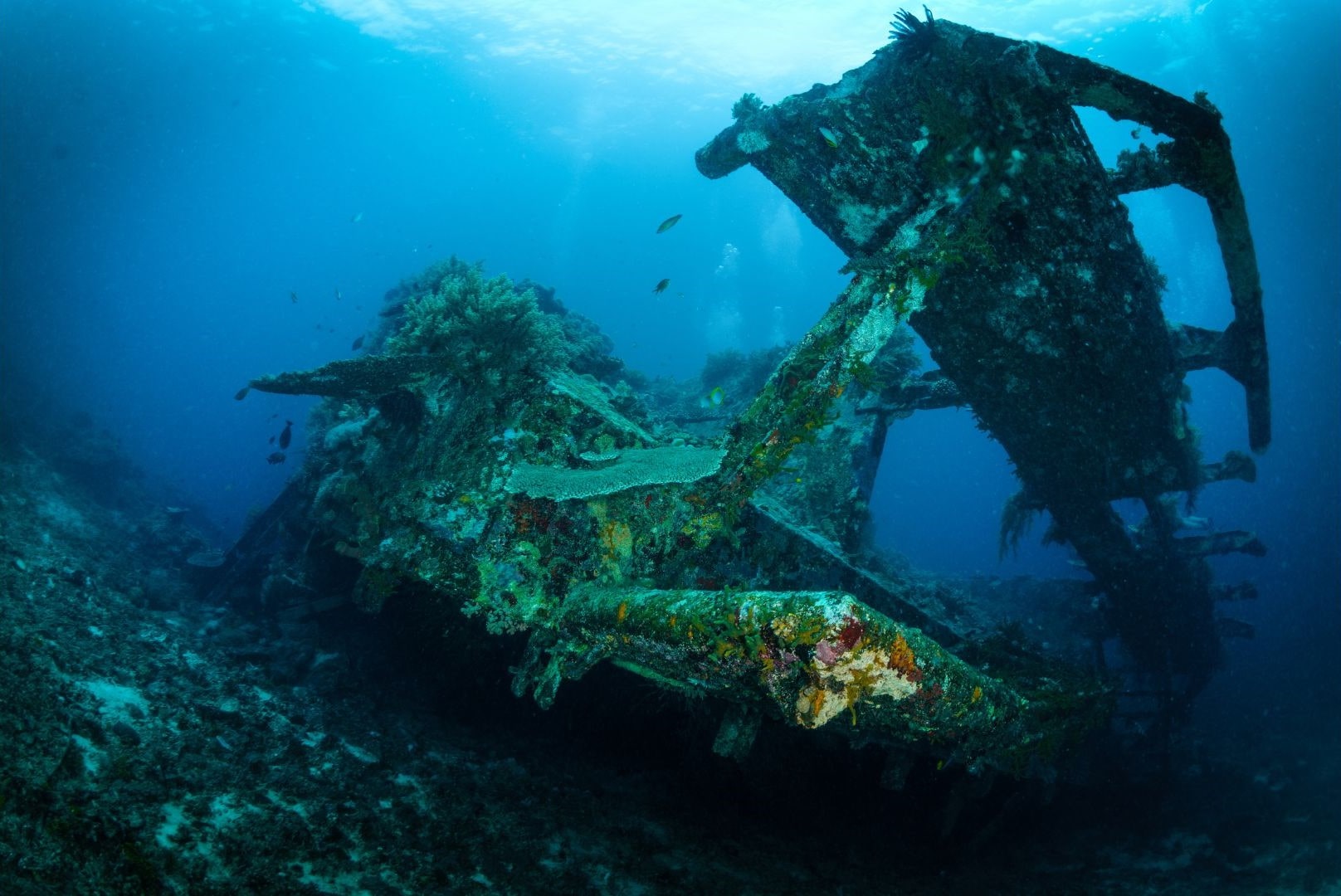 Gili Meno Bounty Wreck