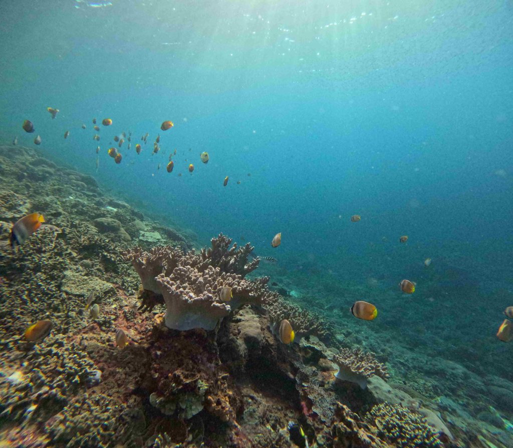 nusa penida day trips